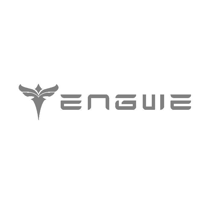Engwe