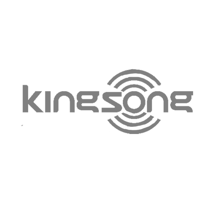 Kingsong