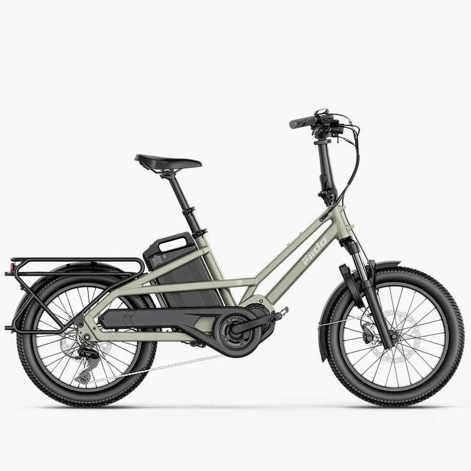 Fiido T3 Vélo Électrique Cargo Familial Urbain