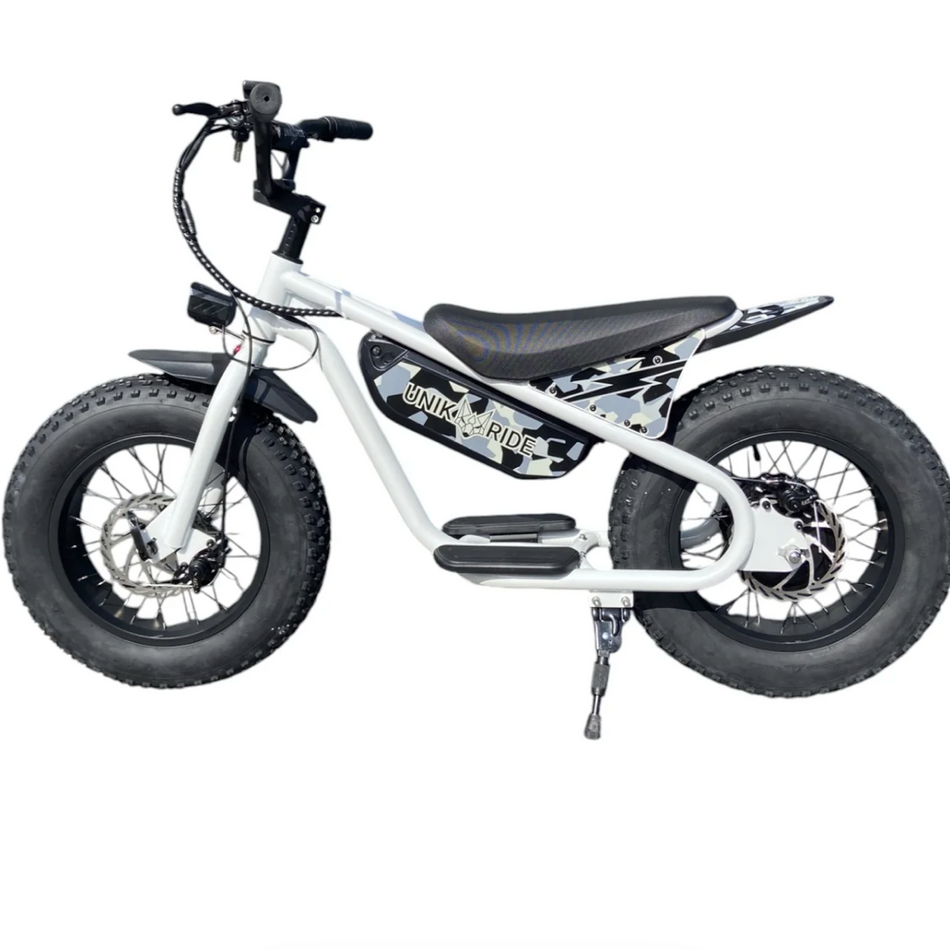 DRAISIENNE ÉLECTRIQUE FAT FUN