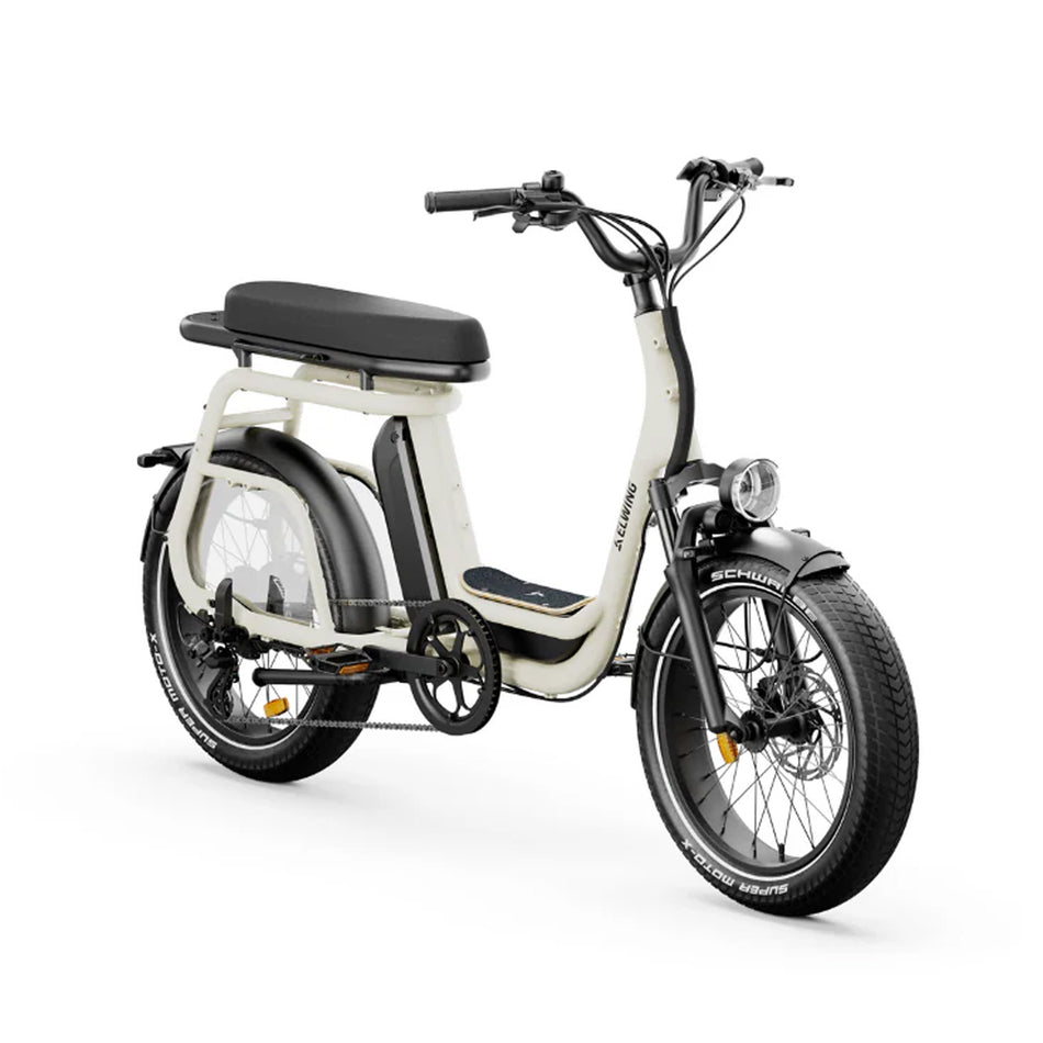 Ritmic Duo - cargo biplace