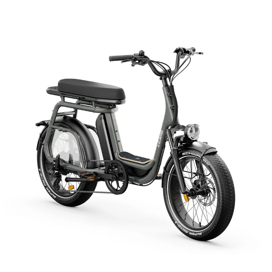 Ritmic Duo - cargo biplace