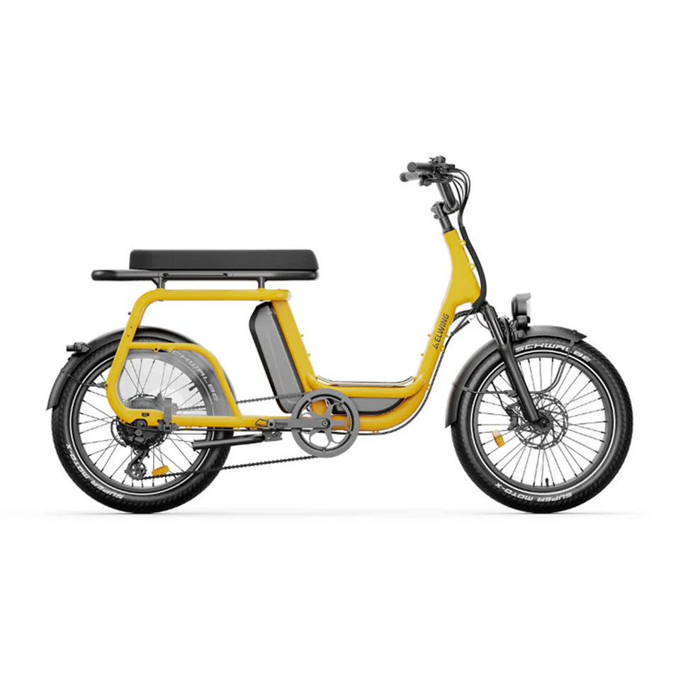 Ritmic Duo - cargo biplace
