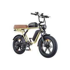 Nouveau vélo électrique Engwe M1 noir ( simple batterie).